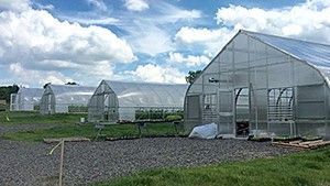 Greenhouses on TC3 Farm